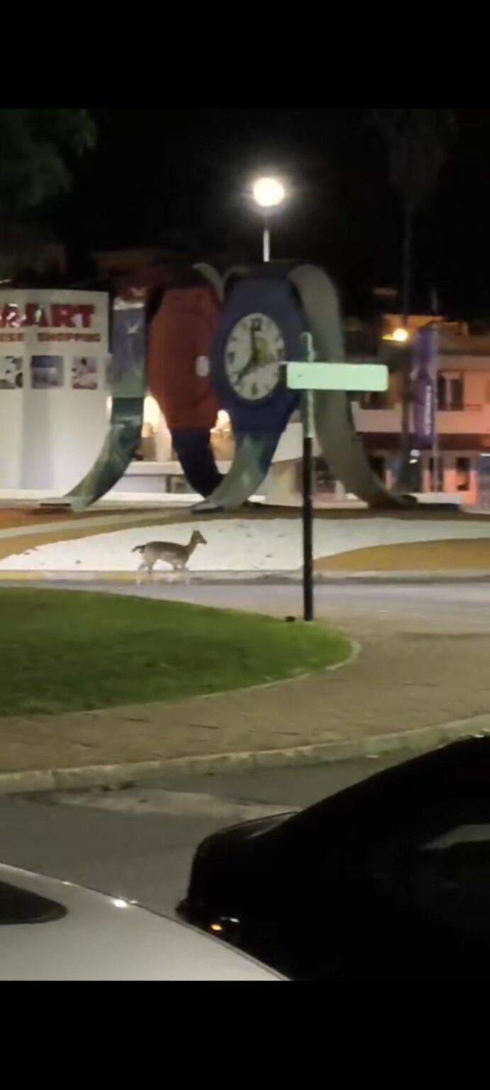 Albufeira hat alles Albufeira hat alles
