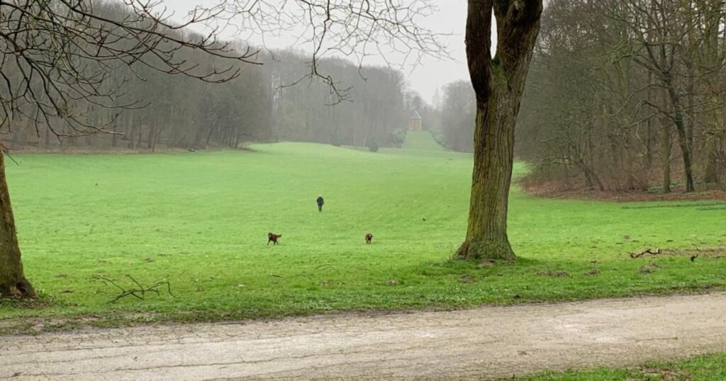 Stark blutender 18-Jähriger in Park in Vilvoorde aufgefunden: Staatsanwaltschaft nimmt Ermittlungen wegen versuchten Mordes auf Stark blutender 18-Jähriger in Park in Vilvoorde aufgefunden: Staatsanwaltschaft nimmt Ermittlungen wegen versuchten Mordes auf