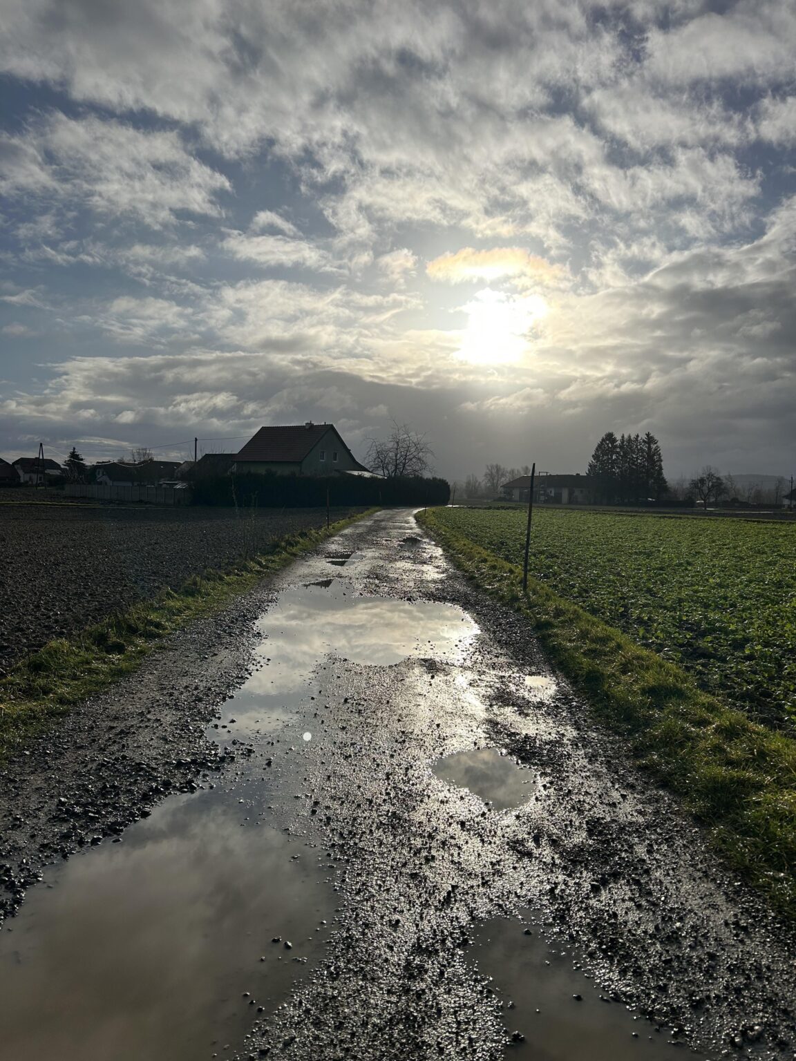 frohe weihnachten