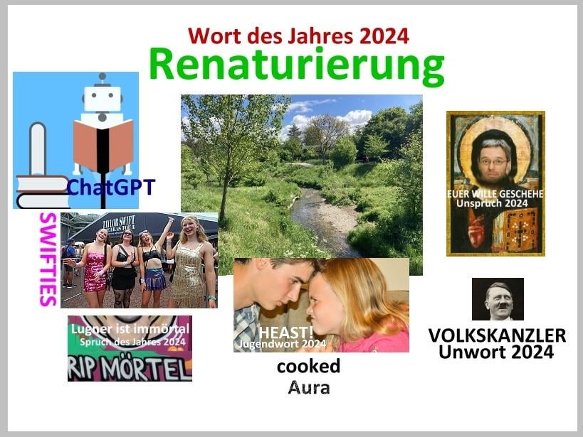 Immerhin nicht Remigration heast