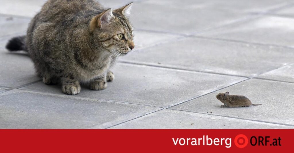 Ausgebüxt und eingewandert: Tierisches 2024