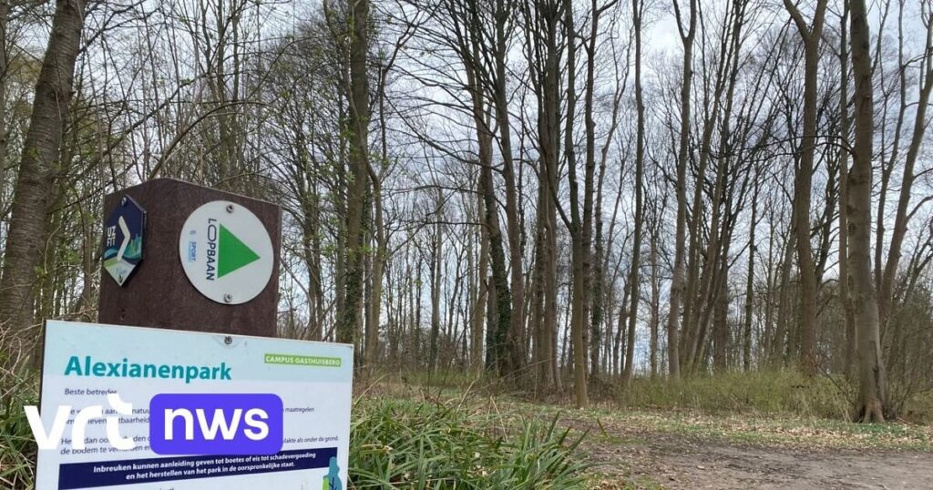 Keine Gefängnisstrafe für Frau, die ihren Ex-Freund ins Gebüsch lockte und versuchte, ihn im Leuvener Park zu töten