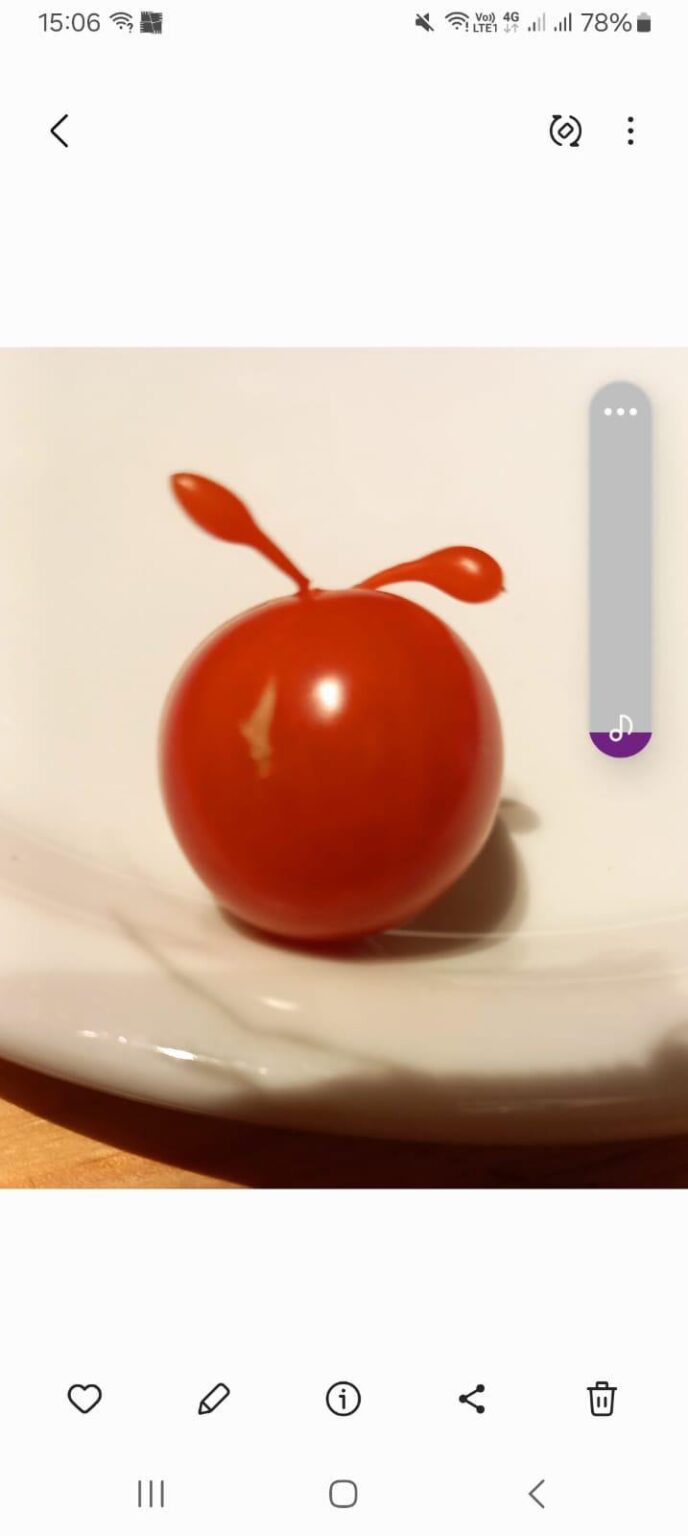Diese Tomate sieht komisch aus...🤔