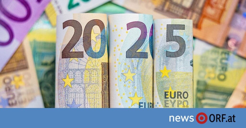 FPÖ-ÖVP: Experten zweifeln Sparpläne an FPÖ-ÖVP: Experten zweifeln Sparpläne an