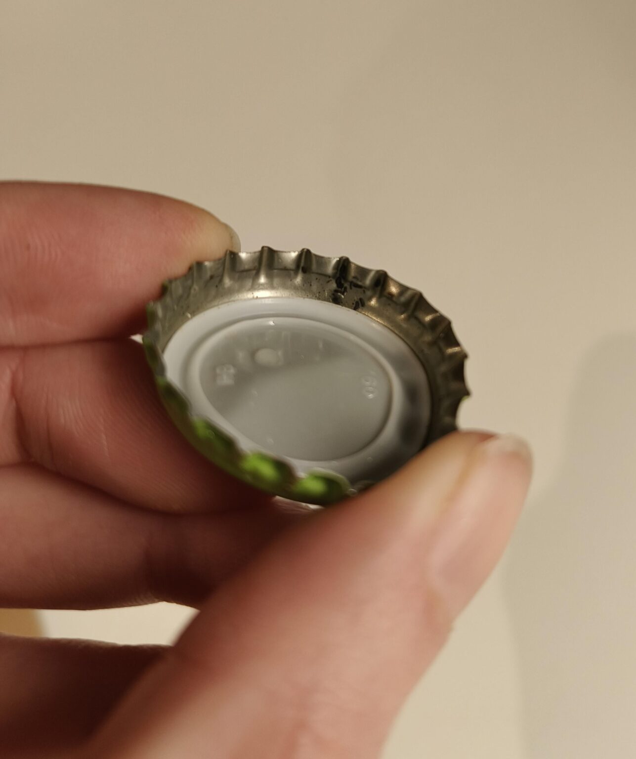 Kleine schwarze Insekten im Bier? Kleine schwarze Insekten im Bier?