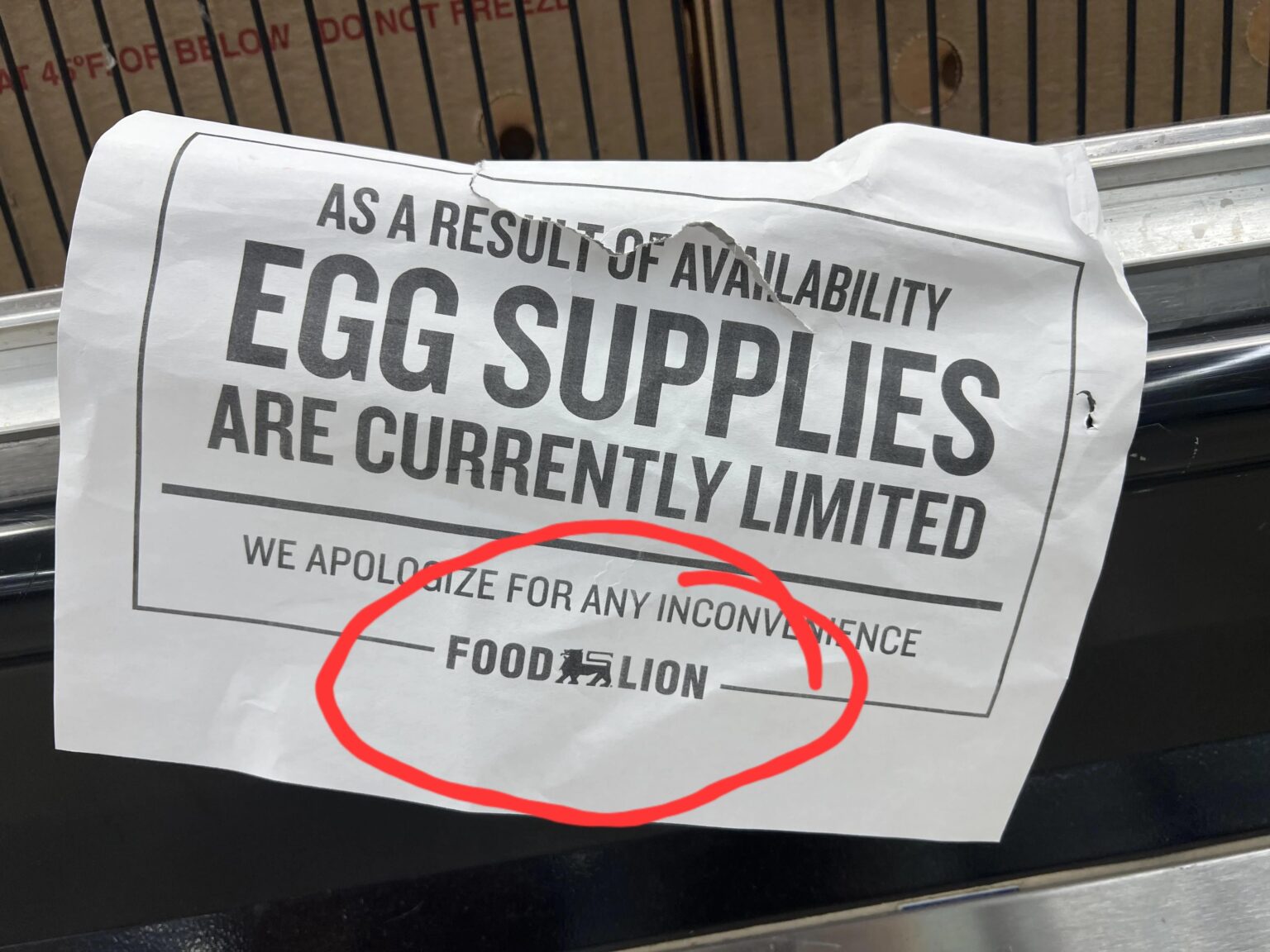 BIS es Delhaize in den USA gibt: Food Lion