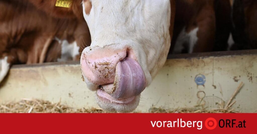 Herausgerissene Zunge: Freispruch für zwei Bauern