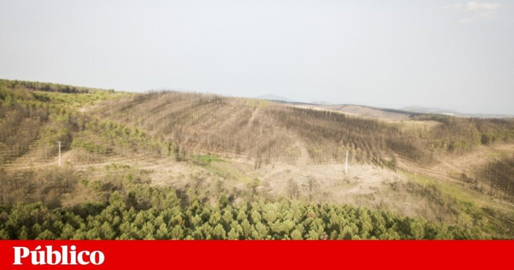 Der Staat streicht in der Regel bezahlbares Einkommen, um Land umzuwandeln