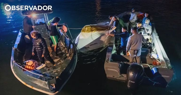 „Sie sollten aufhören, Menschen zu verfolgen, die ihre Arbeit machen.“ Fischer geben zu, dass „Bina“ vor der Polizei fliehen könnte