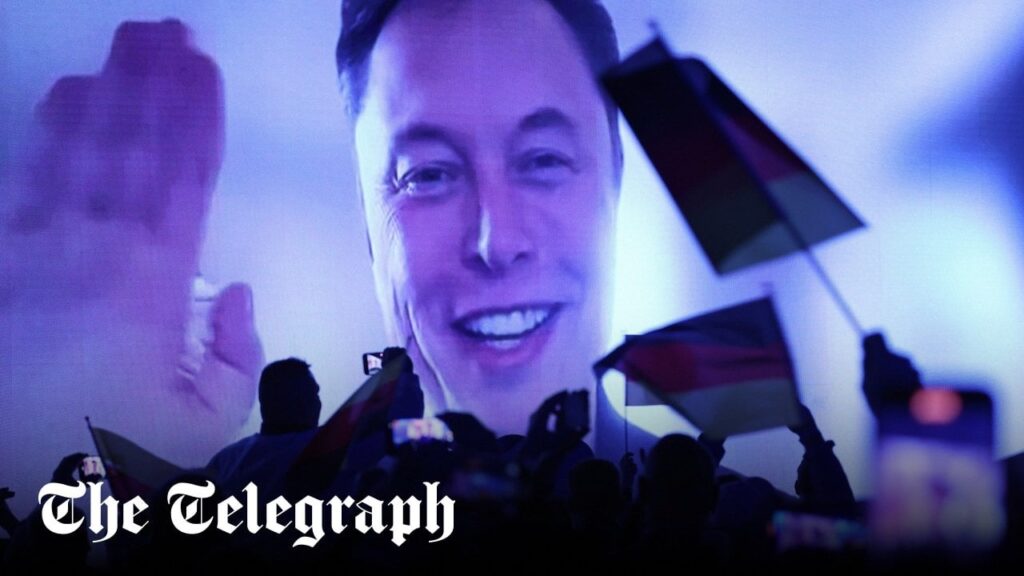 Musk sagt den Deutschen bei der AFD -Rallye, sie sollen "ihre Schuld vorbei schauen".