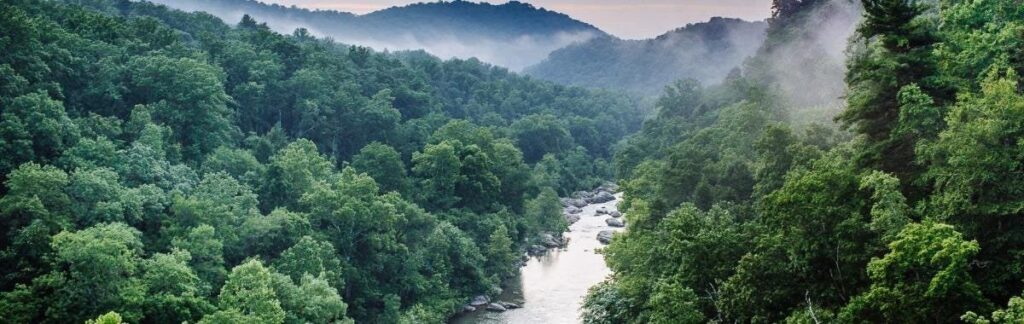 Ein wilder Campingausflug in den Appalachen Ein wilder Campingausflug in den Appalachen