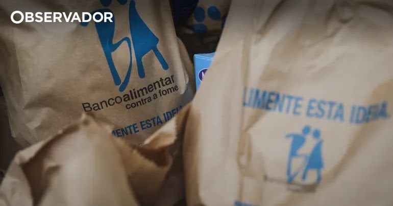 600 Liter Olivenöl aus dem Gelände der Lebensmittelbank in Beja gestohlen