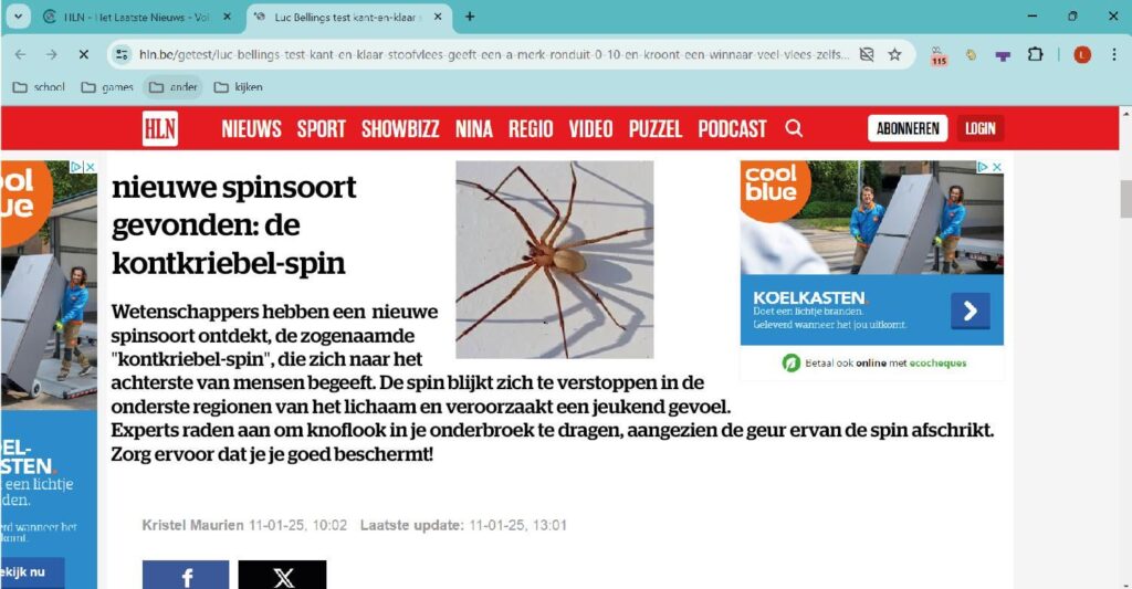 Neue Spinnenart entdeckt