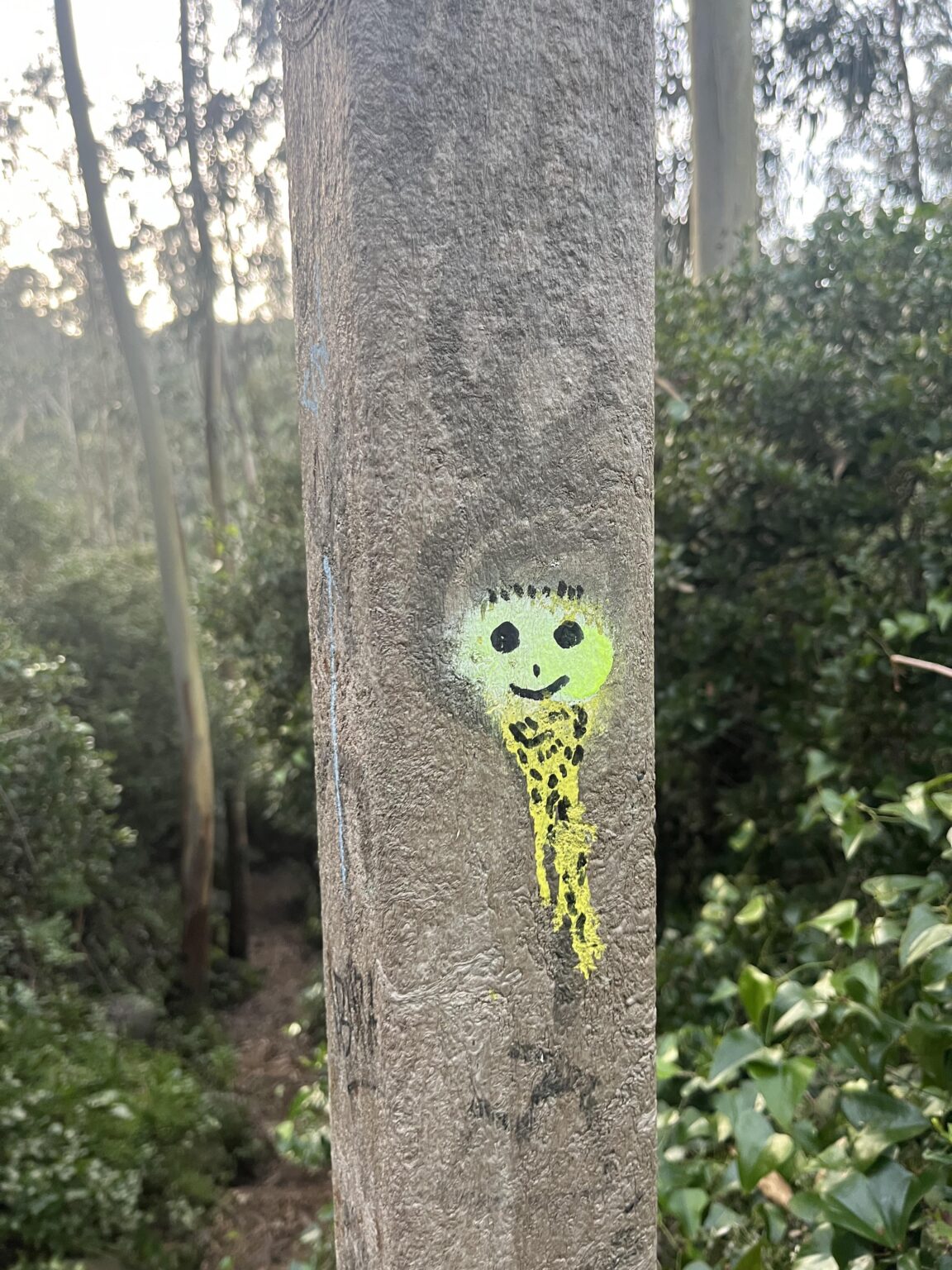 Weiß jemand, was diese Sprühflächen überall in Sintra bedeuten? Weiß jemand, was diese Sprühflächen überall in Sintra bedeuten?
