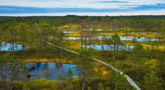 Empfehlungen für die Lahemaa National Park Tour?