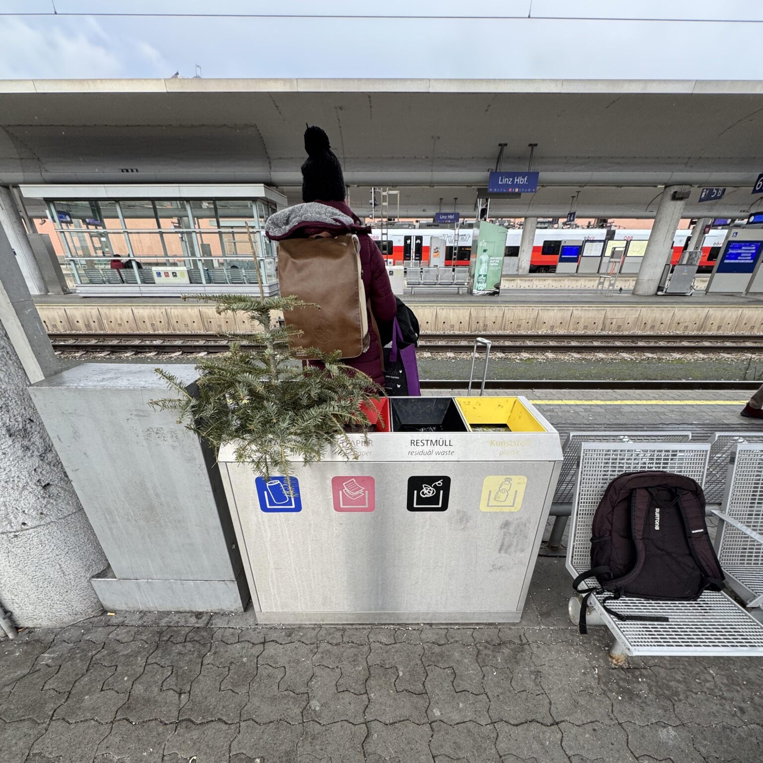 Wenn sich der Christbaum weigert in den Zug einzusteigen
