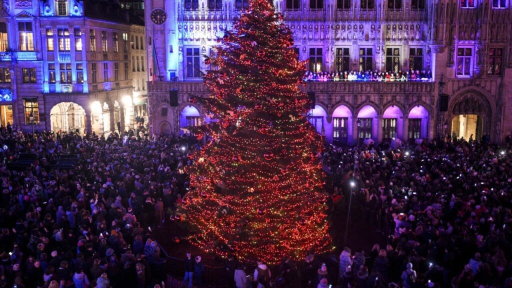 Essen Sie Ihren Weihnachtsbaum nicht, warnt die belgische Lebensmittelbehörde