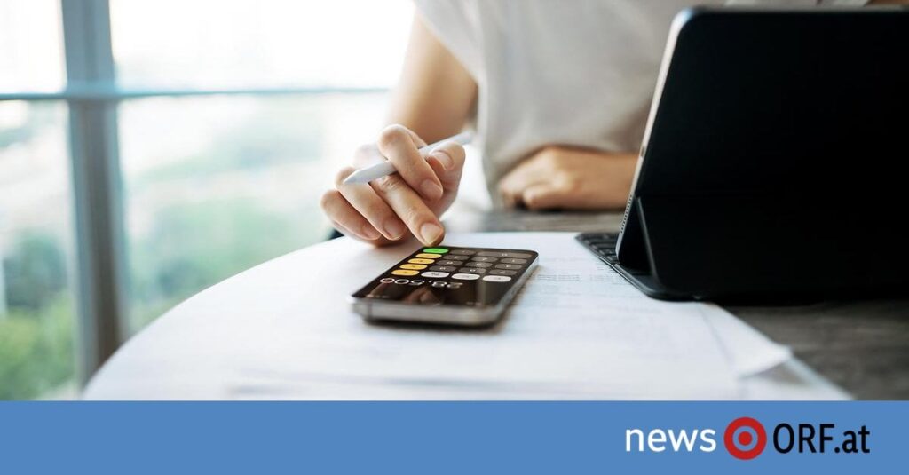 Haushaltsbudget 2025: Neues Jahr bringt Mehrbelastung