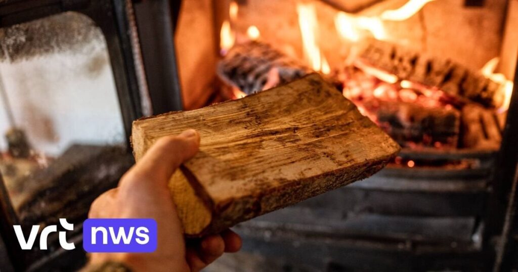 Die Luftqualität in Flandern ist schlecht. Wir rufen dazu auf, kein Holz zu verbrennen