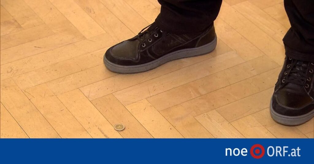 Münzwurf entscheidet Wahl in Gaaden - noe.ORF.at