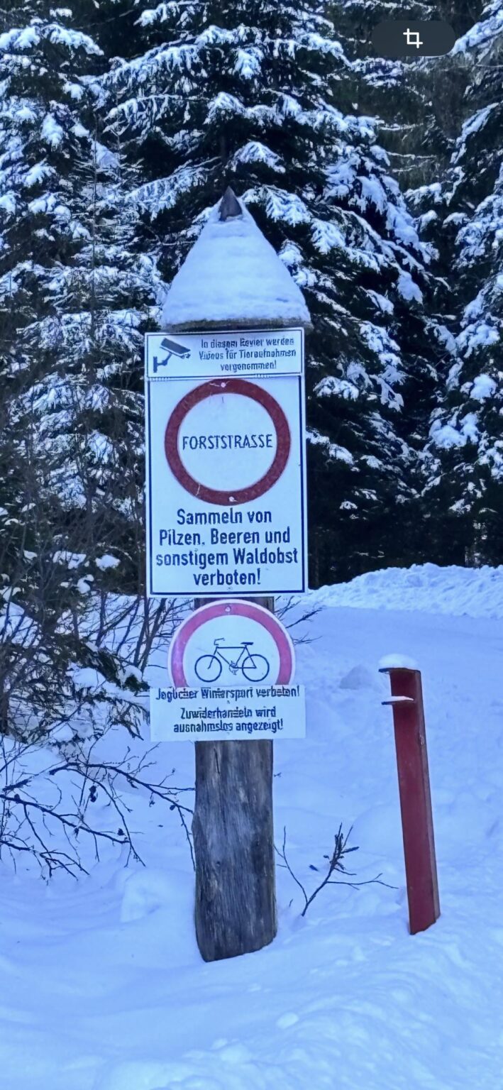 Trautes Heim, Glück allein