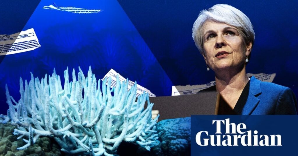 Australien versuchte, andere Länder und die UNESCO zu beeinflussen, um das Great Barrier Reef nicht von der In-Danger-Liste zu halten-Dokumente von Guardian Australia zeigen eine nachhaltige Strategie, die vom Umweltminister genehmigt wurde Australien versuchte, andere Länder und die UNESCO zu beeinflussen, um das Great Barrier Reef nicht von der In-Danger-Liste zu halten-Dokumente von Guardian Australia zeigen eine nachhaltige Strategie, die vom Umweltminister genehmigt wurde