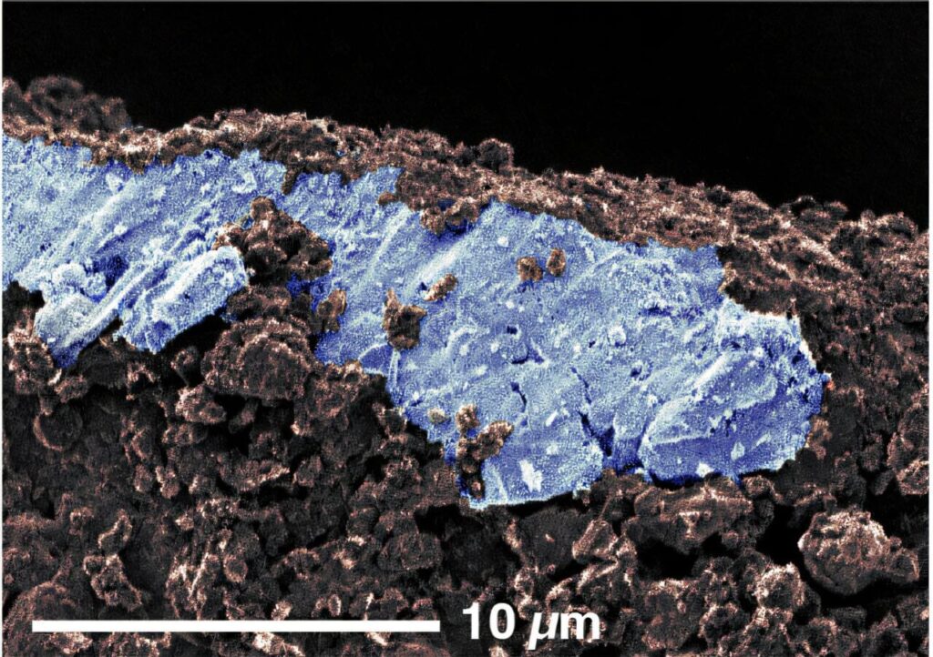 Asteroiden -Ryugu -Proben legen vor, dass salziges Wasser im äußeren Sonnensystem vorhanden ist