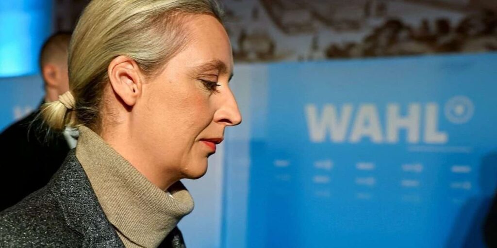 Schwere Verdachtsmomente bei Millionenspende an AfD aus Österreich