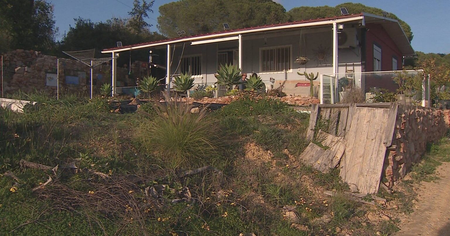 Illegale Häuser vermehren sich in der Algarve: In Loulé wurde bereits 700 identifiziert, die abgerissen werden Illegale Häuser vermehren sich in der Algarve: In Loulé wurde bereits 700 identifiziert, die abgerissen werden