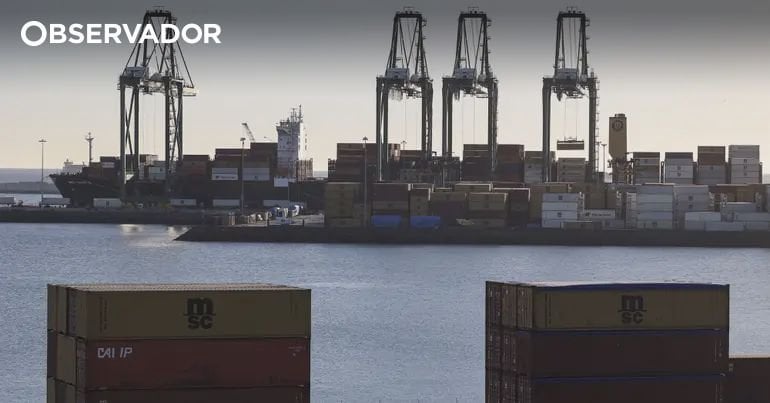 Drogeneintrag in Portugal: PJ startet den Betrieb in mehreren portugiesischen Häfen