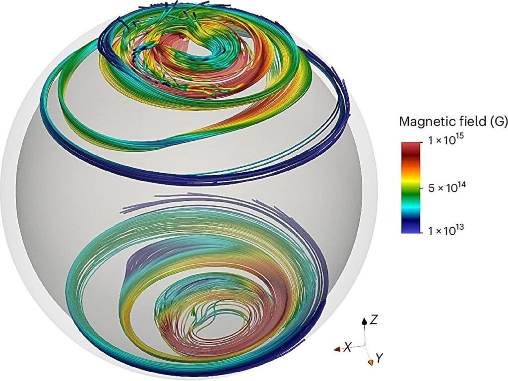 Das Modell zeigt, wie drehende Neutronensterne enorme Magnetfelder erhalten