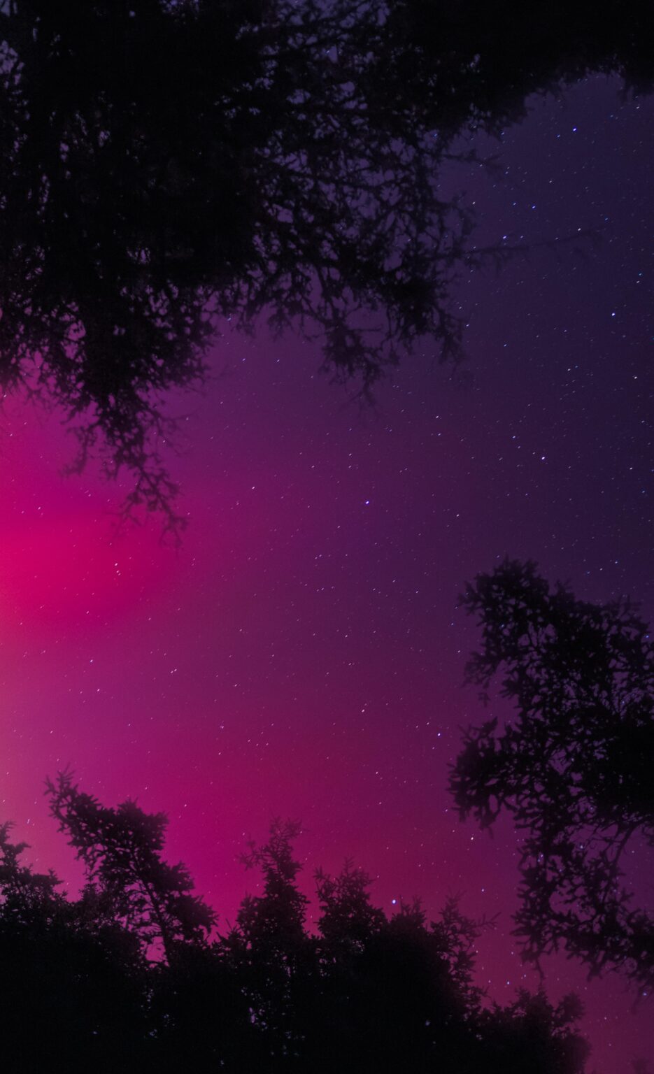 Aurora Borealis Ostküste Kanada