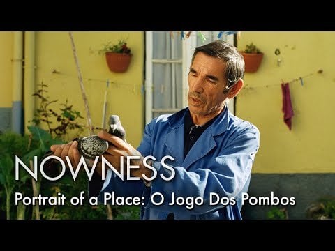In Lissabon setzt Pigeon Fancier Senhor Jorge Cunha eine alte Praxis in einer sich schnell entwickelnden Stadt fort