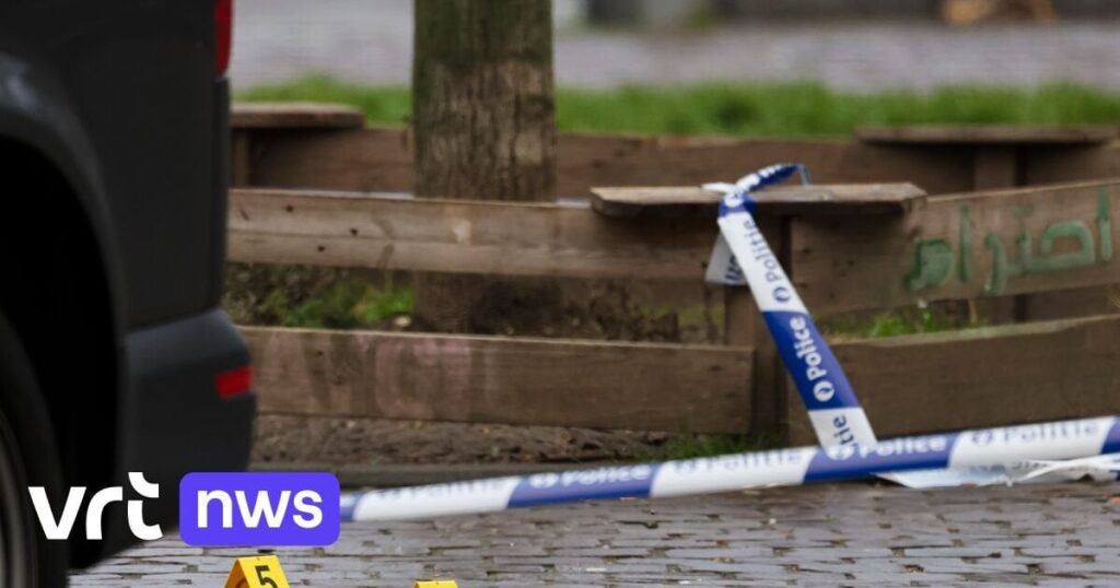 Hilft die Vereinigung Brüsseler Polizeizonen dazu, Drogengewalt zu lösen? "Bürgermeister werden sowieso zusammenschließen"