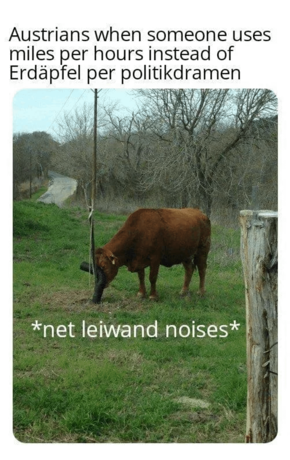 Fast schon traditionell des meme zu posten.