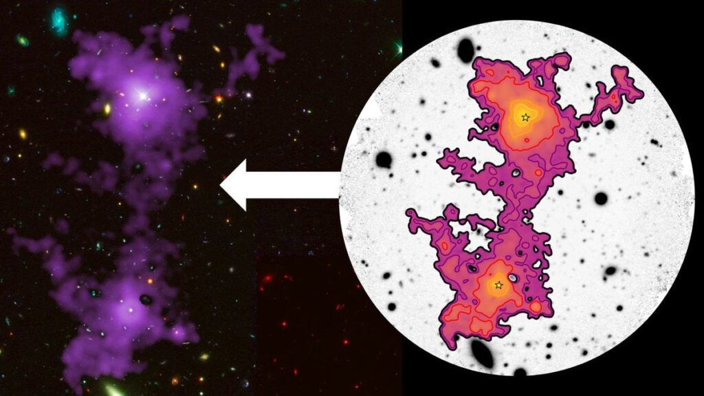Wissenschaftlerbild 3 Millionen Lichtjahre langes 'Cosmic Web' eingebettet 2 Galaxien zum ersten Mal