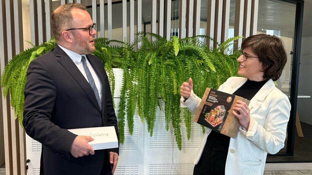Die Regierung de Wever engagiert sich für große neue Kernreaktoren