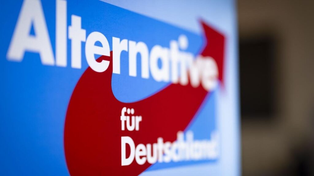 Großspende aus Österreich: AfD soll Plakataktion in Millionenhöhe erhalten