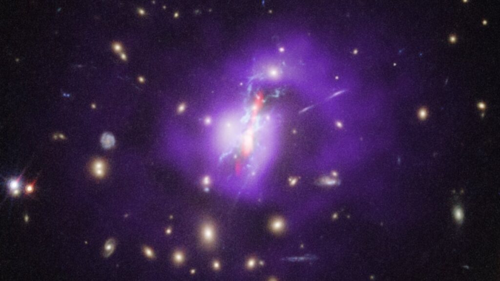James Webb -Weltraumteleskop erfährt, wie sich ein kosmischer Phoenix zu Geburtsstern abkühlt
