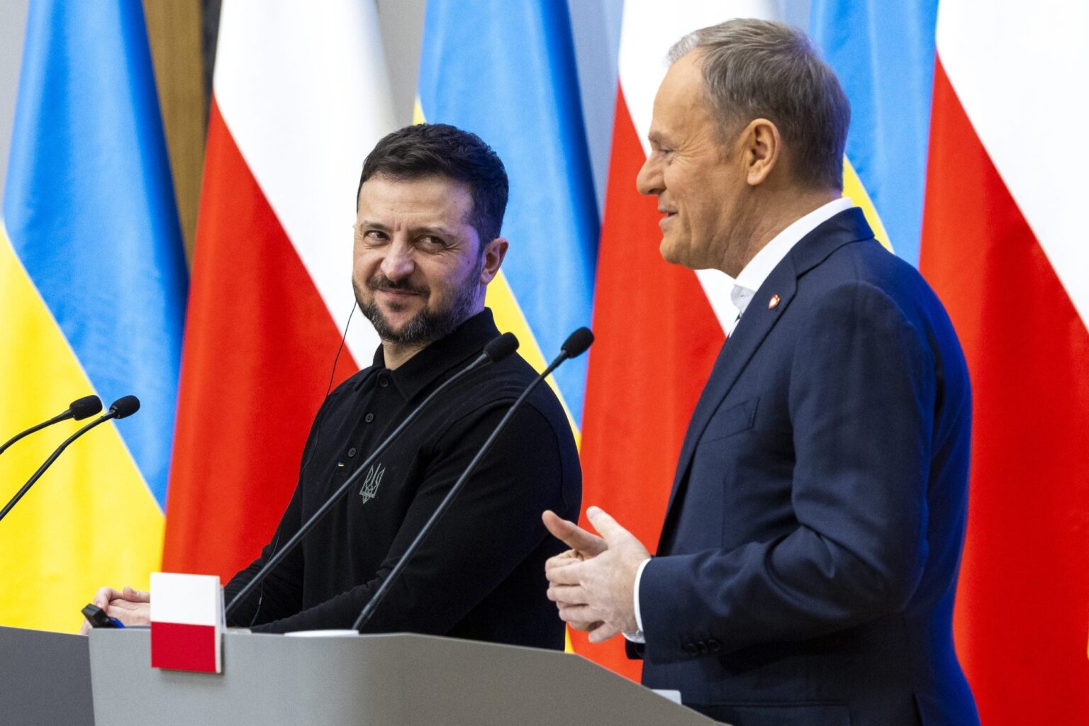 Polen und der Kampf um den russischen Despotismus