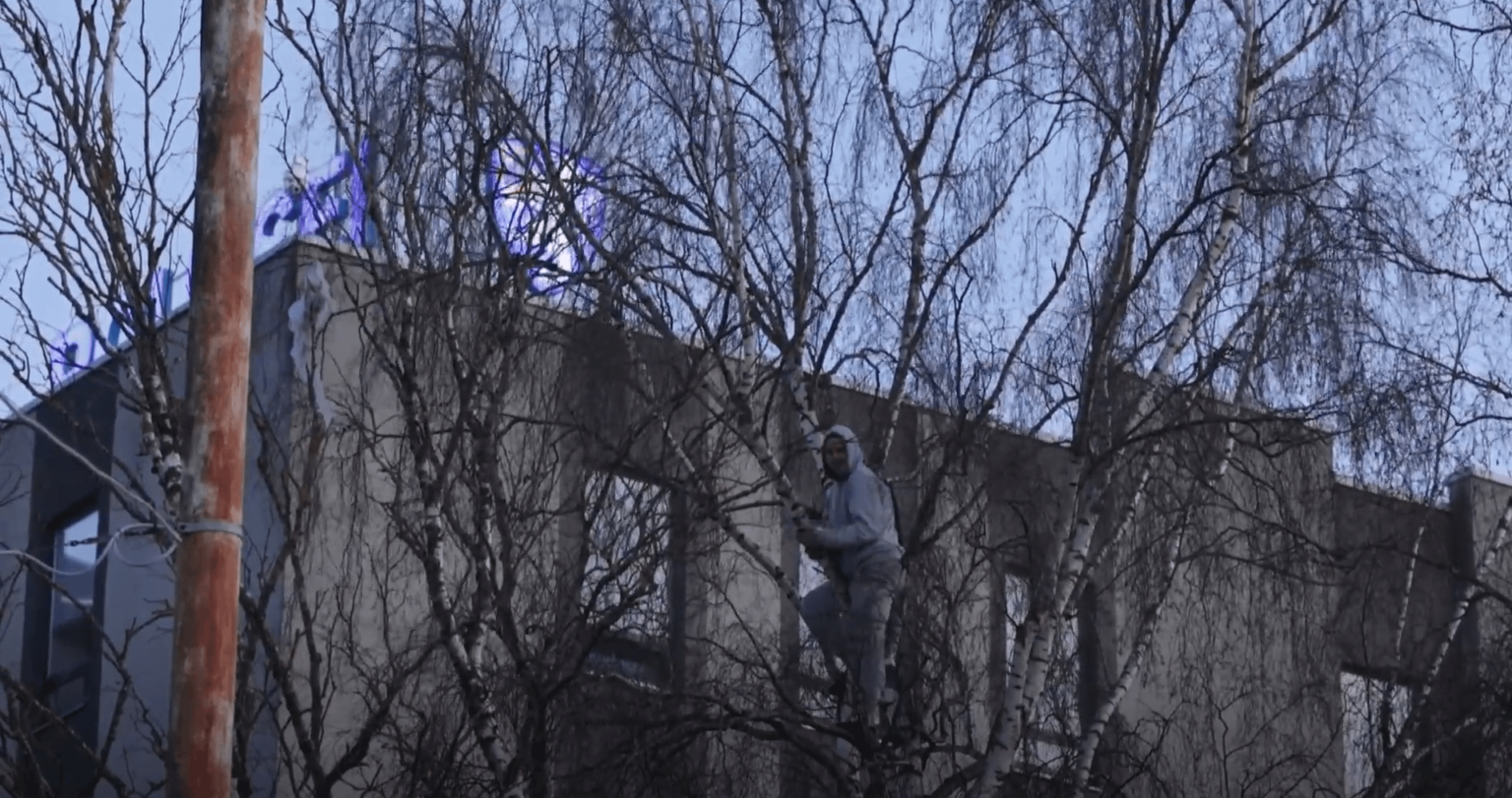 Normaler Mittwoch in Tallinn. Bemar kollidierte mit einer Straßenbahn, der Fahrer kletterte auf den Baum. Die Leute hatten viel Spaß.