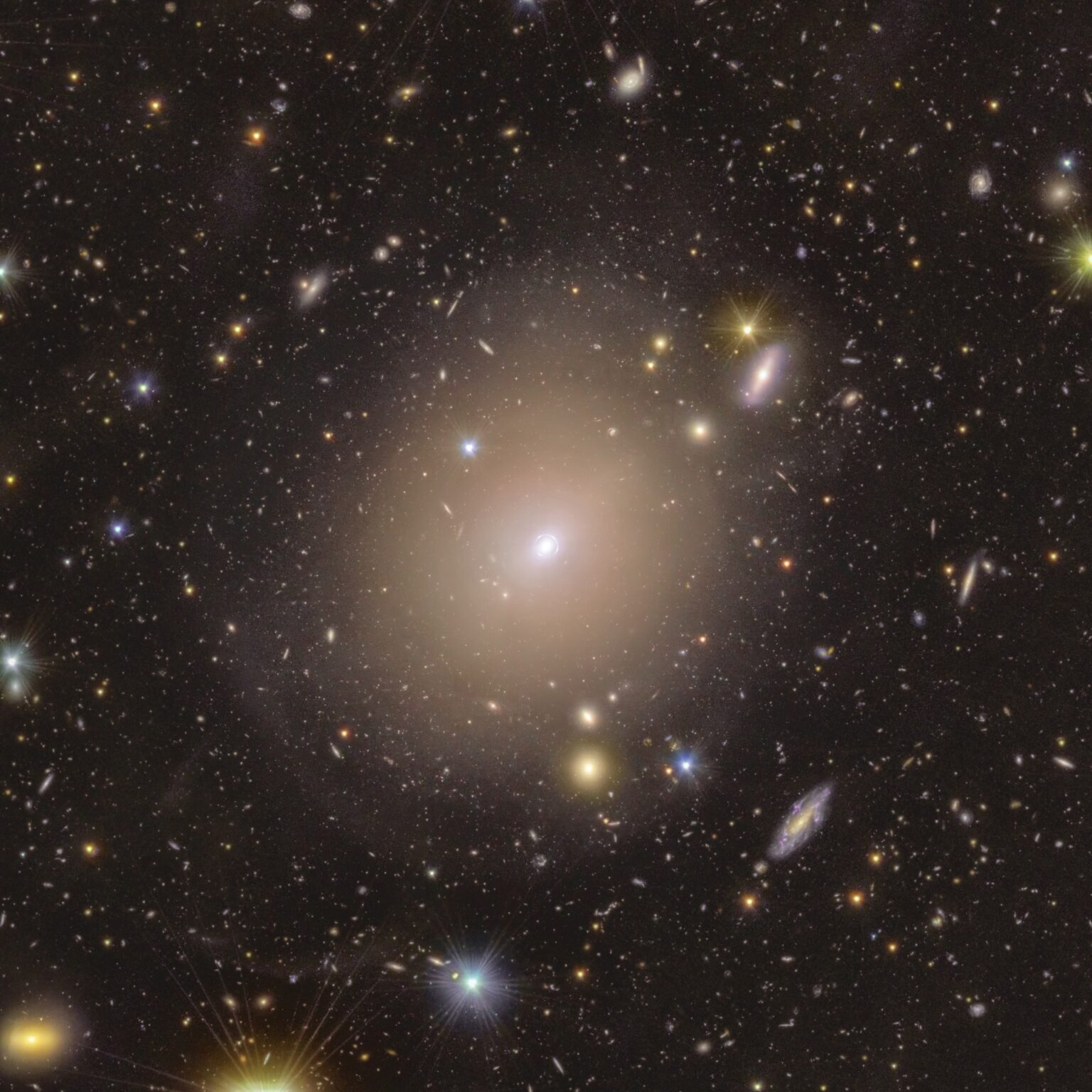 Euklid entdeckt den Einstein -Ring in unserem kosmischen Hinterhof - NASA