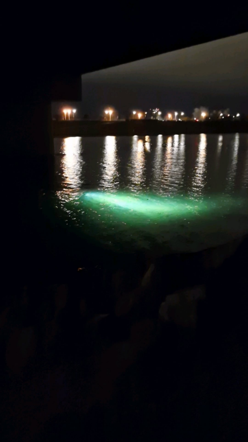 Merkwürdige Lichter in der Donau