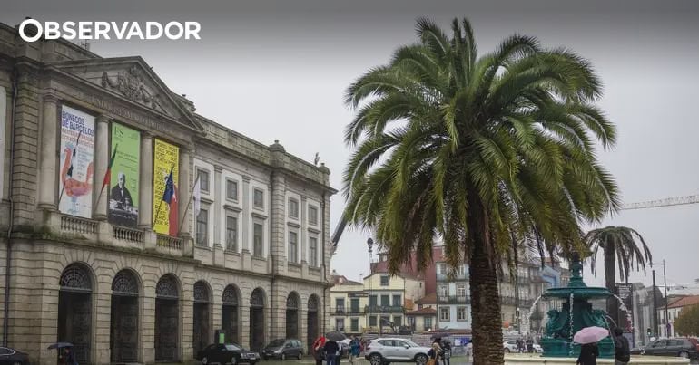 Mehrheit der Porto College -Studenten, um nach Abschluss des Kurses auszuwandern