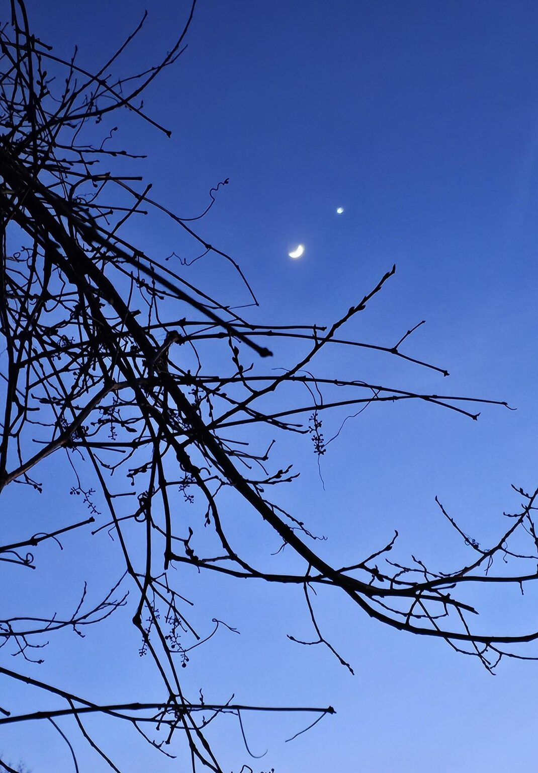 Venus und der Mond