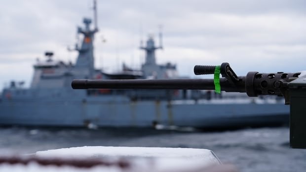 Welche NATO -Patrouillen beobachten in der Ostsee, nachdem Unterwasserkabel abgetrennt wurden Kriegsschiffe, Drohnen und Flugzeuge, die nach der Trennung von Unterwasserkabeln zur Ostsee geschickt wurden