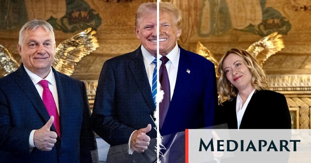 Donald Trumps europäische rechtsextreme "nützliche Idioten"