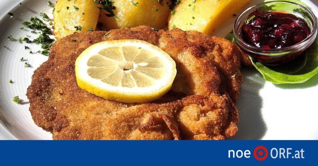 Fake-Briefe: OGH gibt FPÖ gegen Tagespresse recht