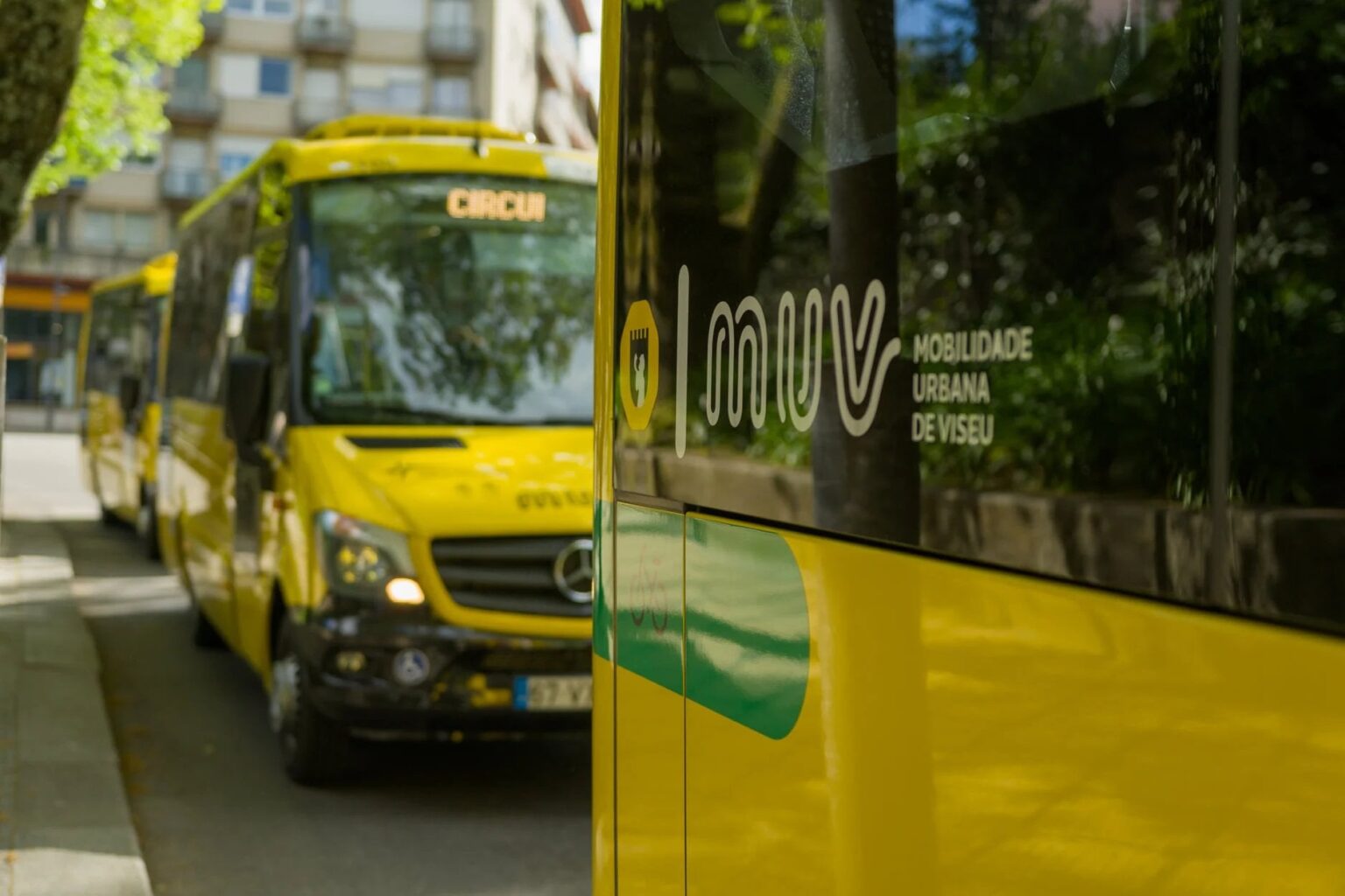 Viseu kann ab dem 1. März ohne städtische öffentliche Verkehrsmittel sein