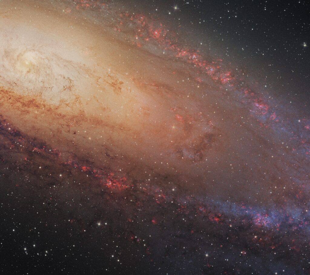 Ich habe jemanden gesehen, der meinen letzten 400 -Megapixel Andromeda -Schuss gepostet hat, aber es war super komprimiert und heruntergezogen. Hier ist eine Ernte aus der vollen Auflösung, damit Sie die Qualität sehen können! Ich werde auch weitere Details in den Kommentaren hinzufügen. [OC]